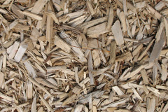 biomass boilers Tandem